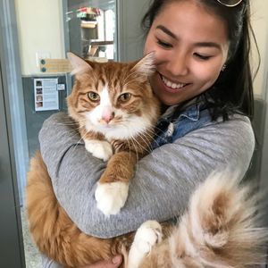 Meet your Posher, Tressa